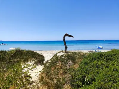 Paesaggio naturale nelle vicinanze della casa vacanze