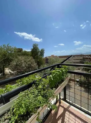 Balcone o terrazza di Casa vacanze “Tuvixeddu”