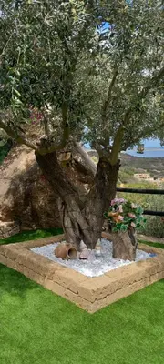 Giardino di Costa Rei casa vacanze Gi.&Gi.