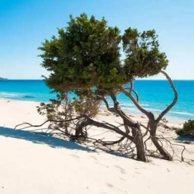 Paesaggio naturale nelle vicinanze del bed & breakfast