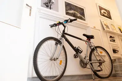 Attività di ciclismo presso il bed & breakfast o nelle vicinanze