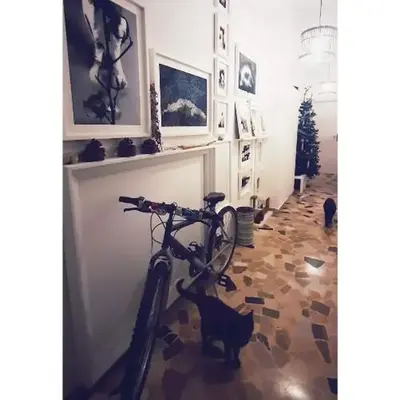 AB OvO