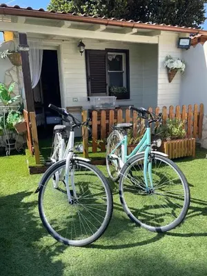 Attività di ciclismo presso l'affittacamere o nelle vicinanze