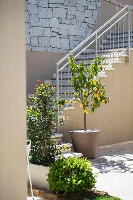 Giardino di Domu Noa Hotel