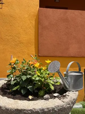 Giardino di CASA FANNI- rooms