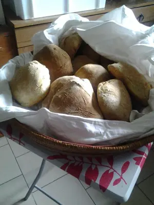 Cibo presso l'agriturismo o nelle vicinanze