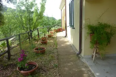 Giardino di Agriturismo Ticci