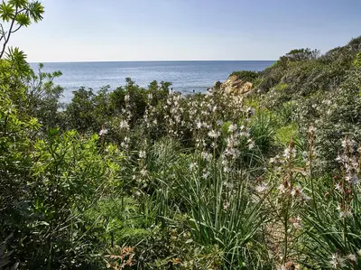 Paesaggio naturale nelle vicinanze dell'hotel