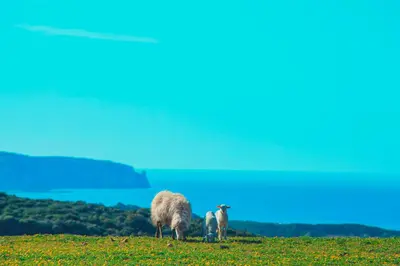 Paesaggio naturale nelle vicinanze dell'agriturismo
