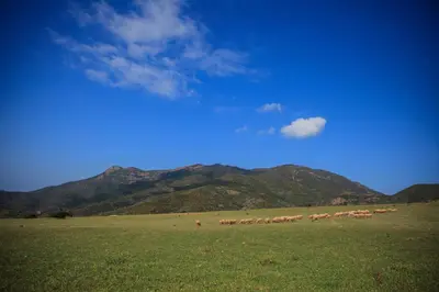 Paesaggio naturale nelle vicinanze dell'agriturismo