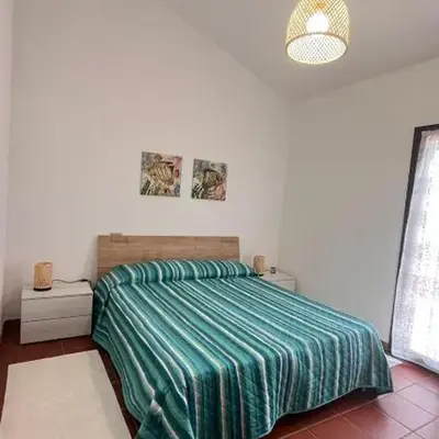 Il Verde Ulivo