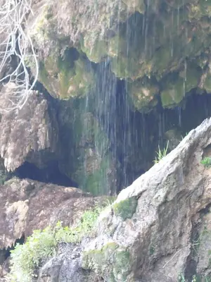 Paesaggio naturale nelle vicinanze dell'affittacamere