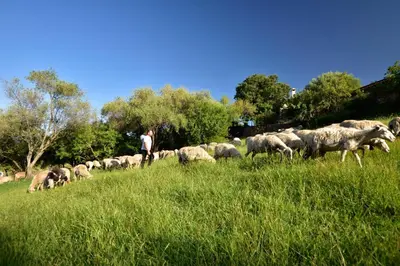 Paesaggio naturale nelle vicinanze dell'agriturismo