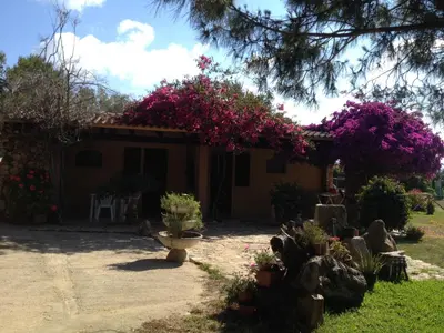 Giardino di Il Ruscello
