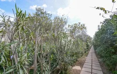 Giardino di Bilocale