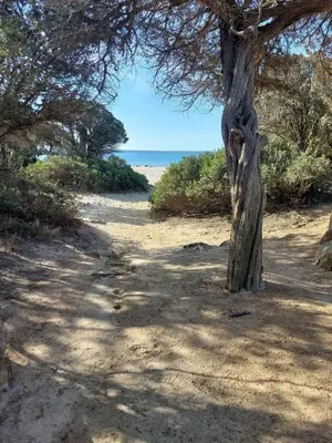 Paesaggio naturale nelle vicinanze della casa vacanze