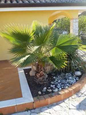 Giardino di VILLE MONDO a 350 metri dalla spiaggia