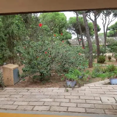 Giardino di Villetta a Schiera Calaverde