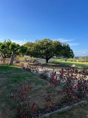Giardino di La Collina: L’alba