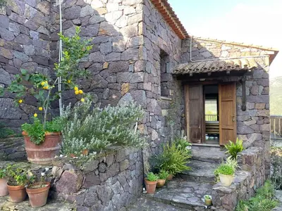 Giardino di Al mare nella natura selvaggia