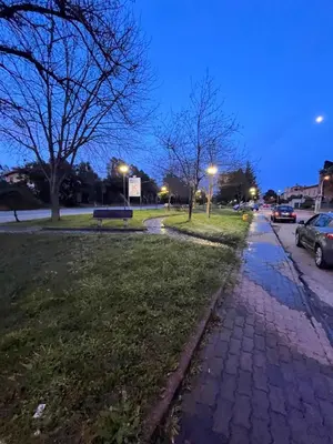Il quartiere o una zona nella vicinanze dell'appartamento
