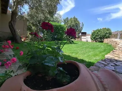 Giardino di Casa Avio a 400mt dal mare vacanze a Chia Sardegna