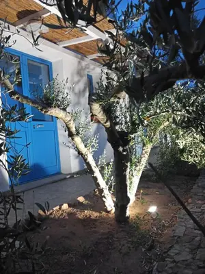 Giardino di B&B S'Incantu