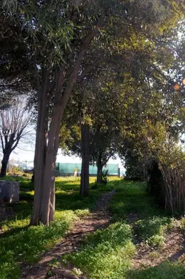 Giardino di Villa Sole e Mare