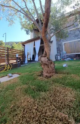 Giardino di VillaVittoria