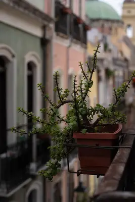 Planimetria di Trinità UrbanHaven - Cuore di Cagliari