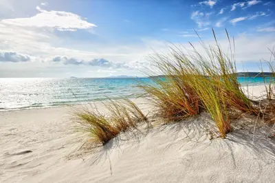 Paesaggio naturale nelle vicinanze della casa vacanze
