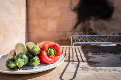 Planimetria di Comfort a 4 minuti dal mare- Giardino e bbq