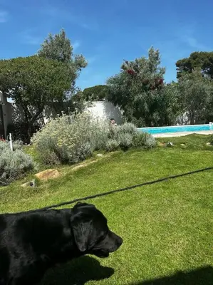 Piscina di Casa Vacanze Mar Bea o nelle vicinanze