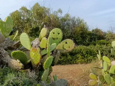 Giardino di Casa Bonaria - IUN R 6698