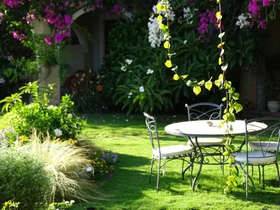 Giardino di Hotel Mariposas