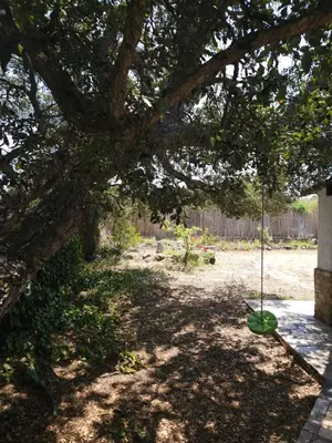 Giardino di Country house La grande quercia