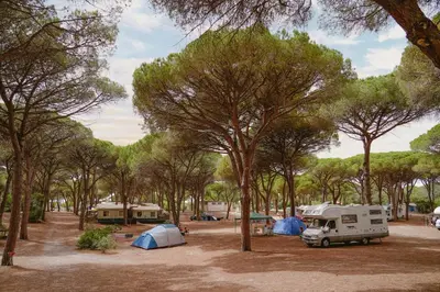 Paesaggio naturale nelle vicinanze del campeggio