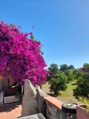 Giardino di Sa cruxi