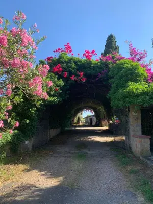 Giardino di Sa cruxi