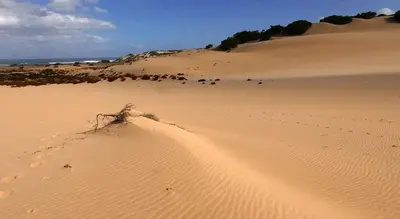 Paesaggio naturale nelle vicinanze dell'appartamento