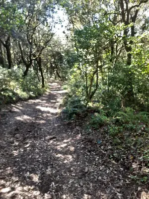 Paesaggio naturale nelle vicinanze dell'appartamento