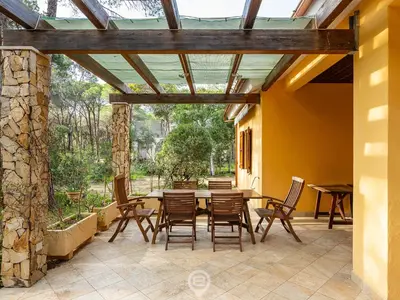 Giardino di Seaside Pineta Retreat