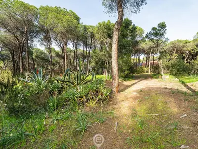 Paesaggio naturale nelle vicinanze della villa