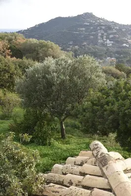 Paesaggio naturale nelle vicinanze della casa vacanze