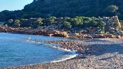 Paesaggio naturale nelle vicinanze dell'appartamento