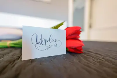 Planimetria di Unplug