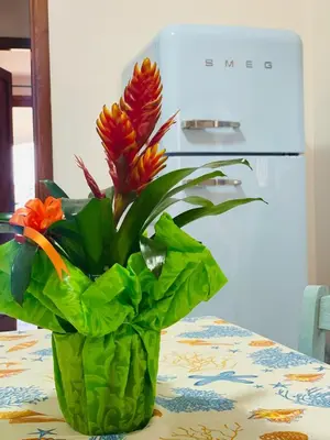 Cucina o angolo cottura di Casa Liberty