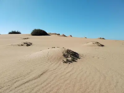 Paesaggio naturale nelle vicinanze dell'appartamento