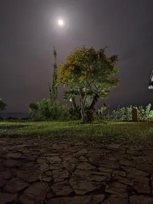 Planimetria di Villa Caldinelli