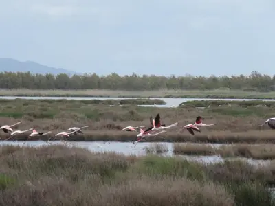 Paesaggio naturale nelle vicinanze dell'affittacamere